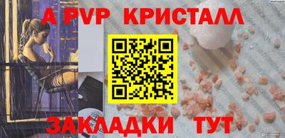 твердый Бийск